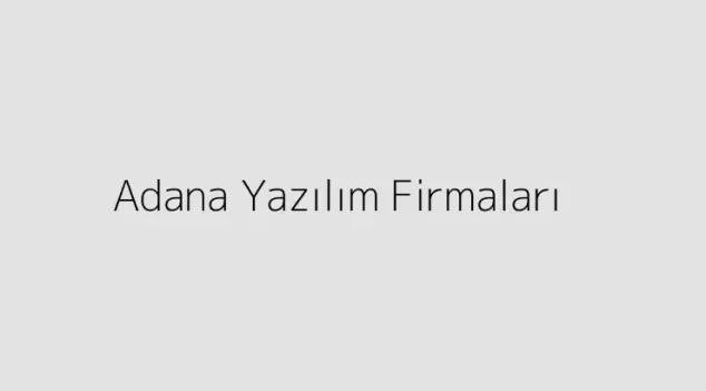 Adana Yazılım Firmaları