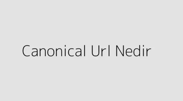 Canonical Url Nedir