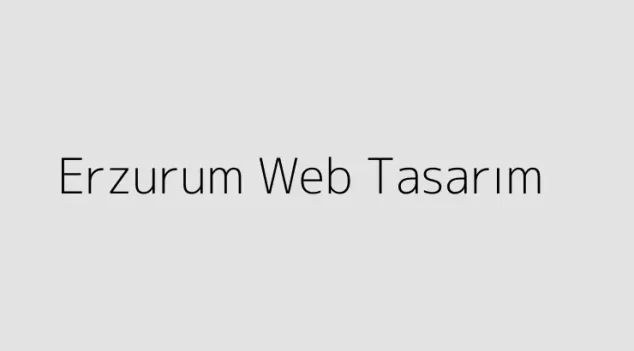 Erzurum Web Tasarım