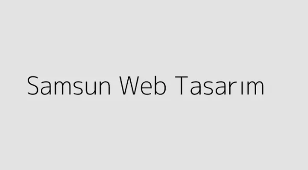 Samsun Web Tasarım