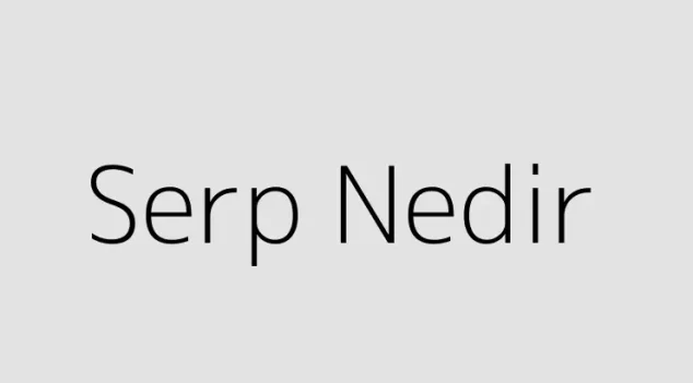 Serp Nedir?