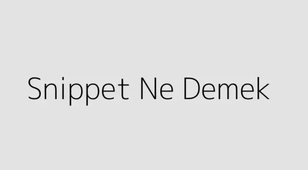 Snippet Ne Demek