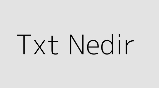 Txt Nedir