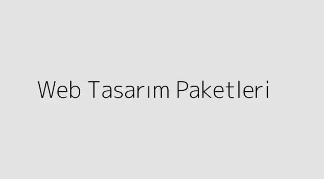 Web Tasarım Paketleri