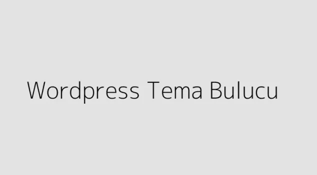 WordPress Tema Bulucu