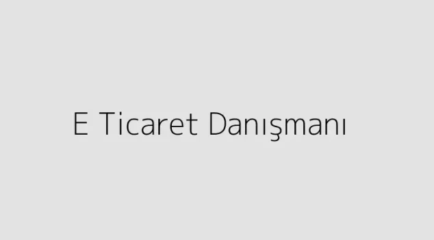 E Ticaret Danışmanı