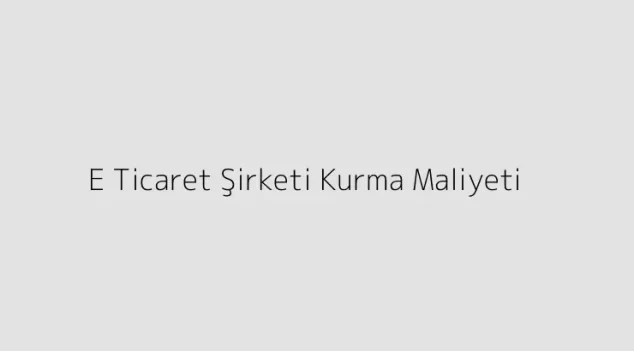 E Ticaret Şirketi Kurma Maliyeti