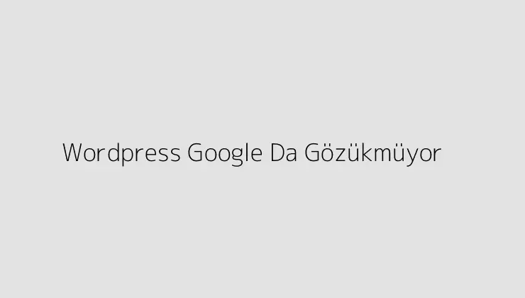 WordPress Google Da Gözükmüyor