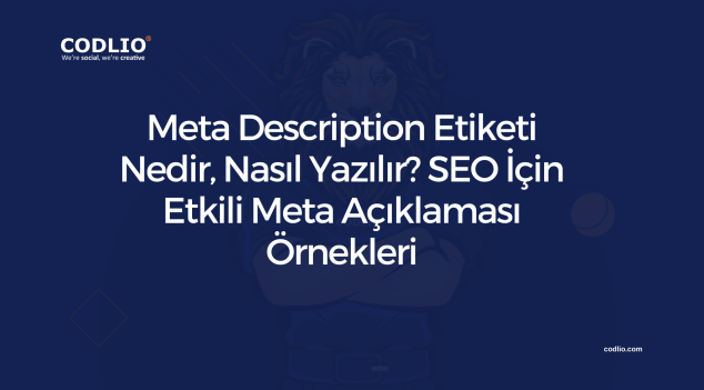 Meta Description Etiketi Nedir, Nasıl Yazılır? SEO İçin Etkili Meta Açıklaması Örnekleri