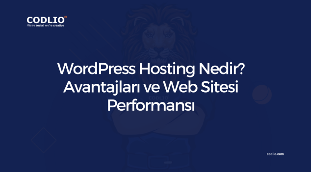 WordPress Hosting Nedir? Avantajları ve Web Sitesi Performansı